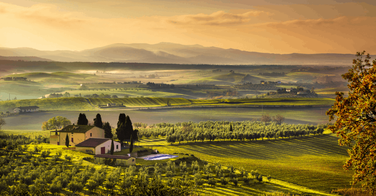 A Taste of Tuscany: Luxury Vineyard Estates in the Heart of Italy